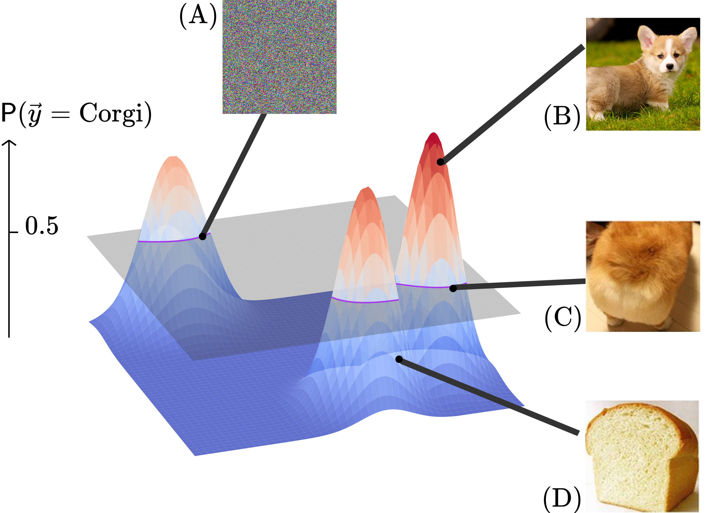 A project overview image. It shows a decision surface, with highlighted points corresponding to an adversarial example, a picture of a corgi, a picture of a corgi butt, and a picture of a loaf of bread. The level sets for 50 percent confidence examples (e.g., the corgi butt and the adversarial examples) are highlighted.